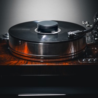 Pro-Ject  Record Puck RS - přítlačné závaží 1030 g (5)