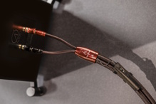 Audioquest BRAVE HEART, banánky - reproduktorový kabel z výběrové mědi PSC+ (10)